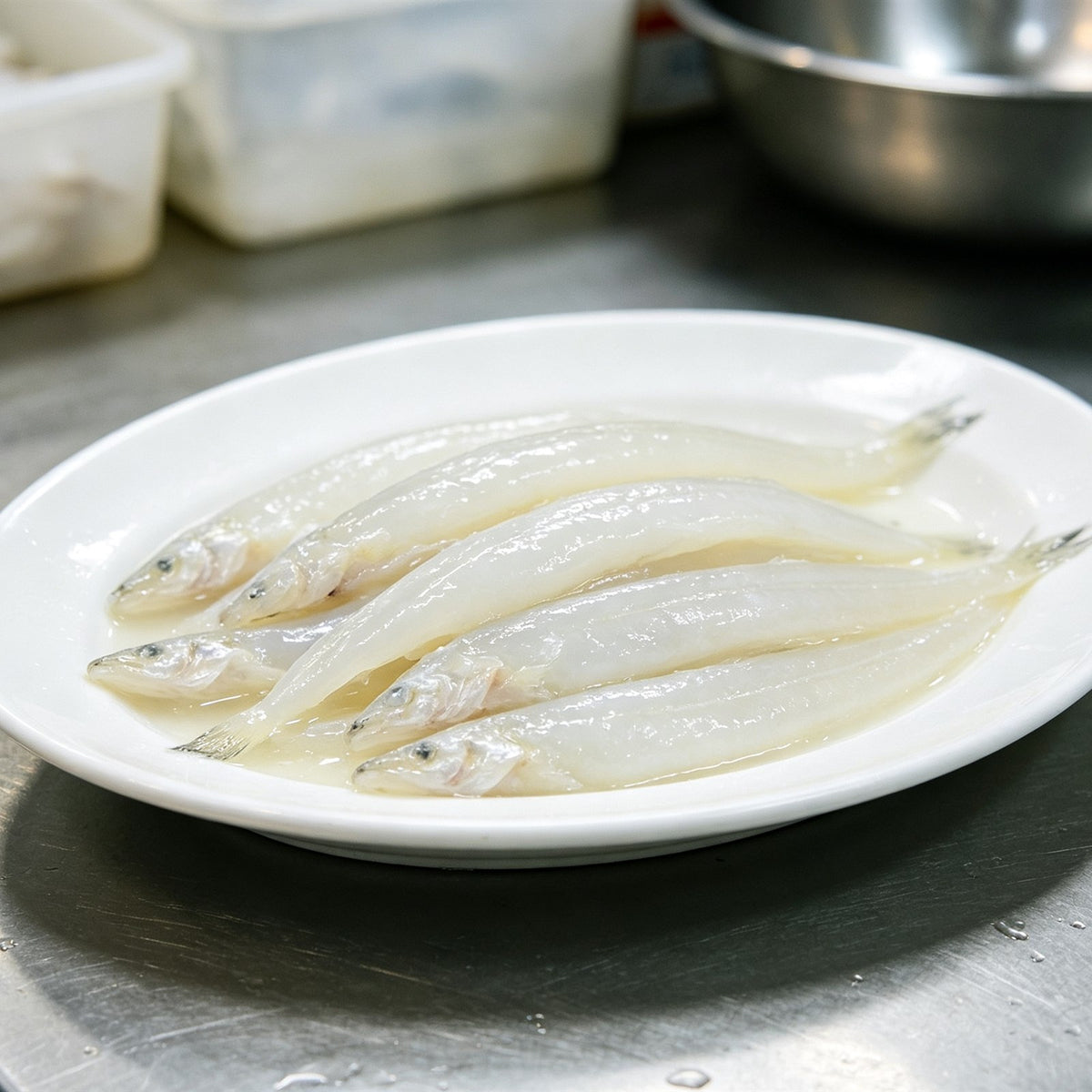 Premium Fresh Silver Fish Whitebait